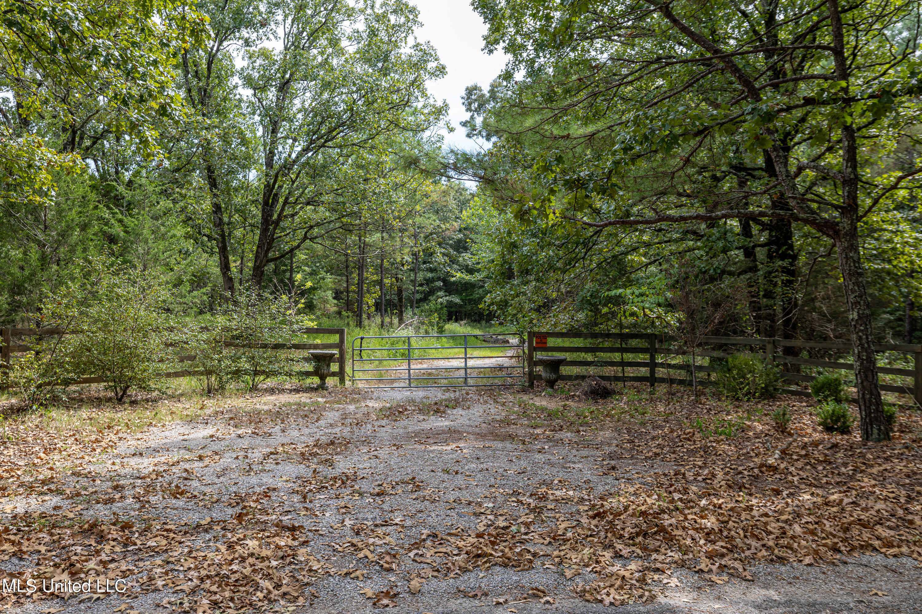 561 Boswell Road Holly Springs, MS 38635 - Photo 2 of 41 boswell-41
