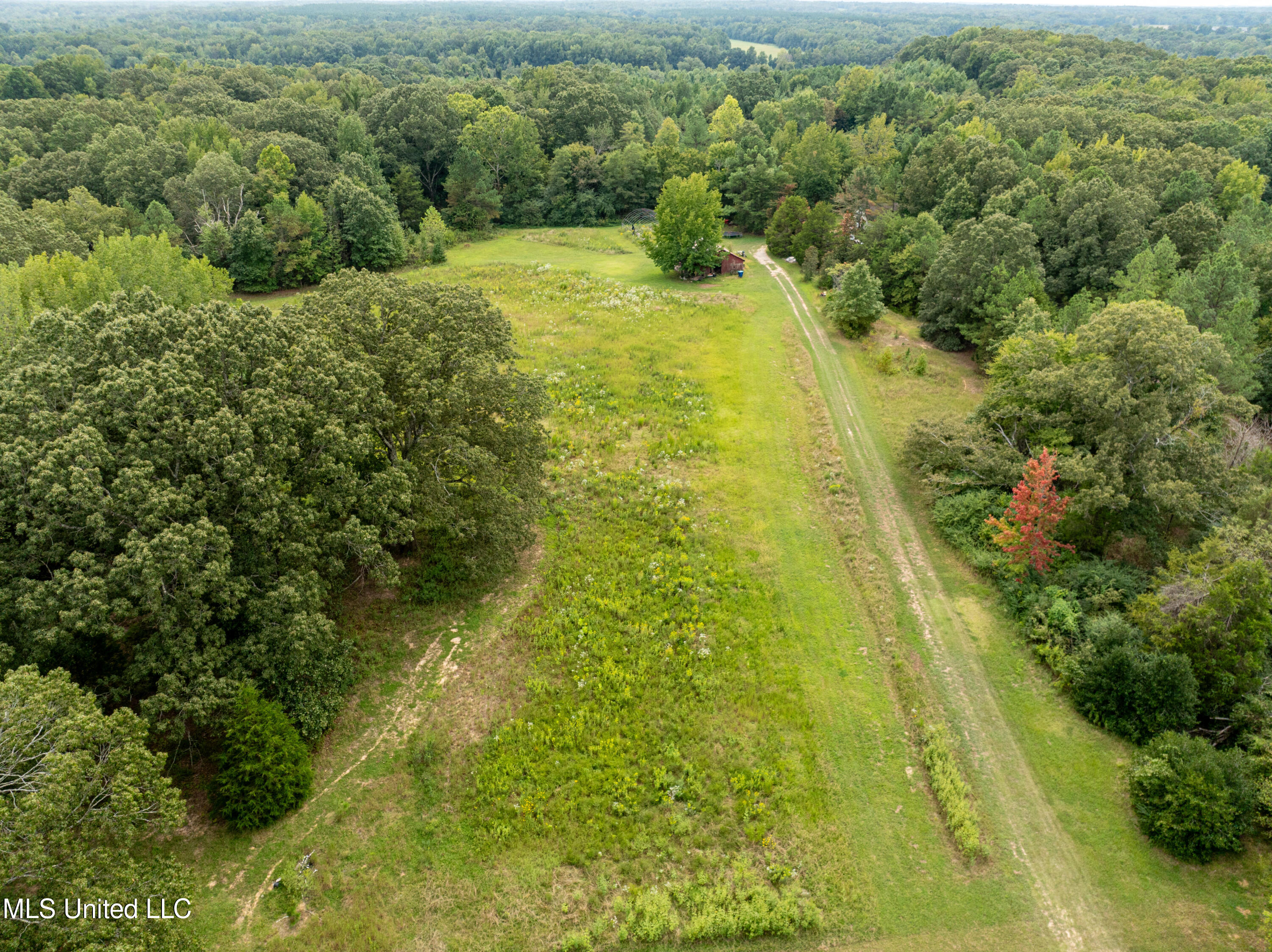 561 Boswell Road Holly Springs, MS 38635 - Photo 29 of 41 boswell-13