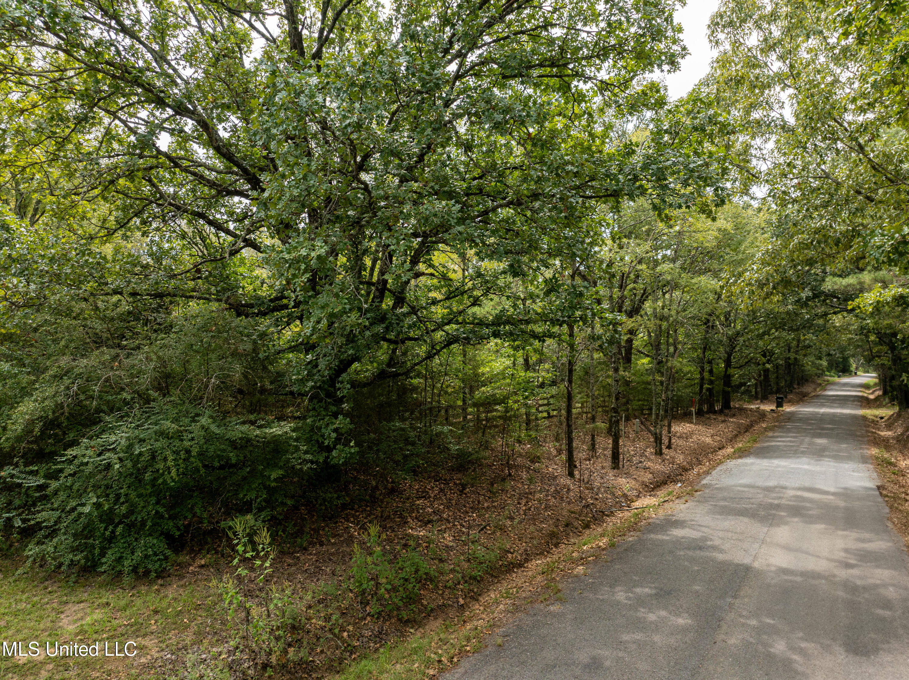 561 Boswell Road Holly Springs, MS 38635 - Photo 38 of 41 boswell-3