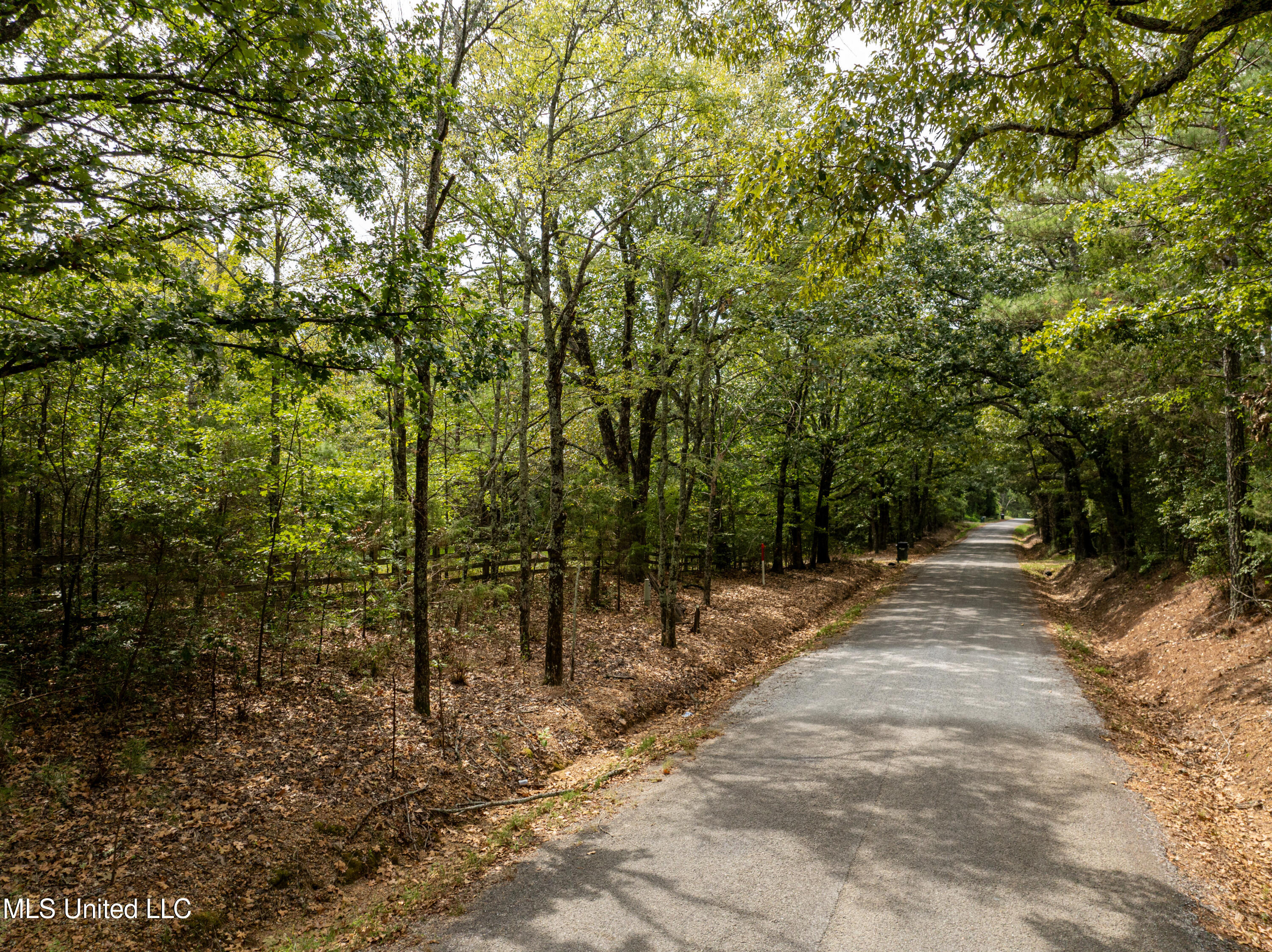 561 Boswell Road Holly Springs, MS 38635 - Photo 39 of 41 boswell-4