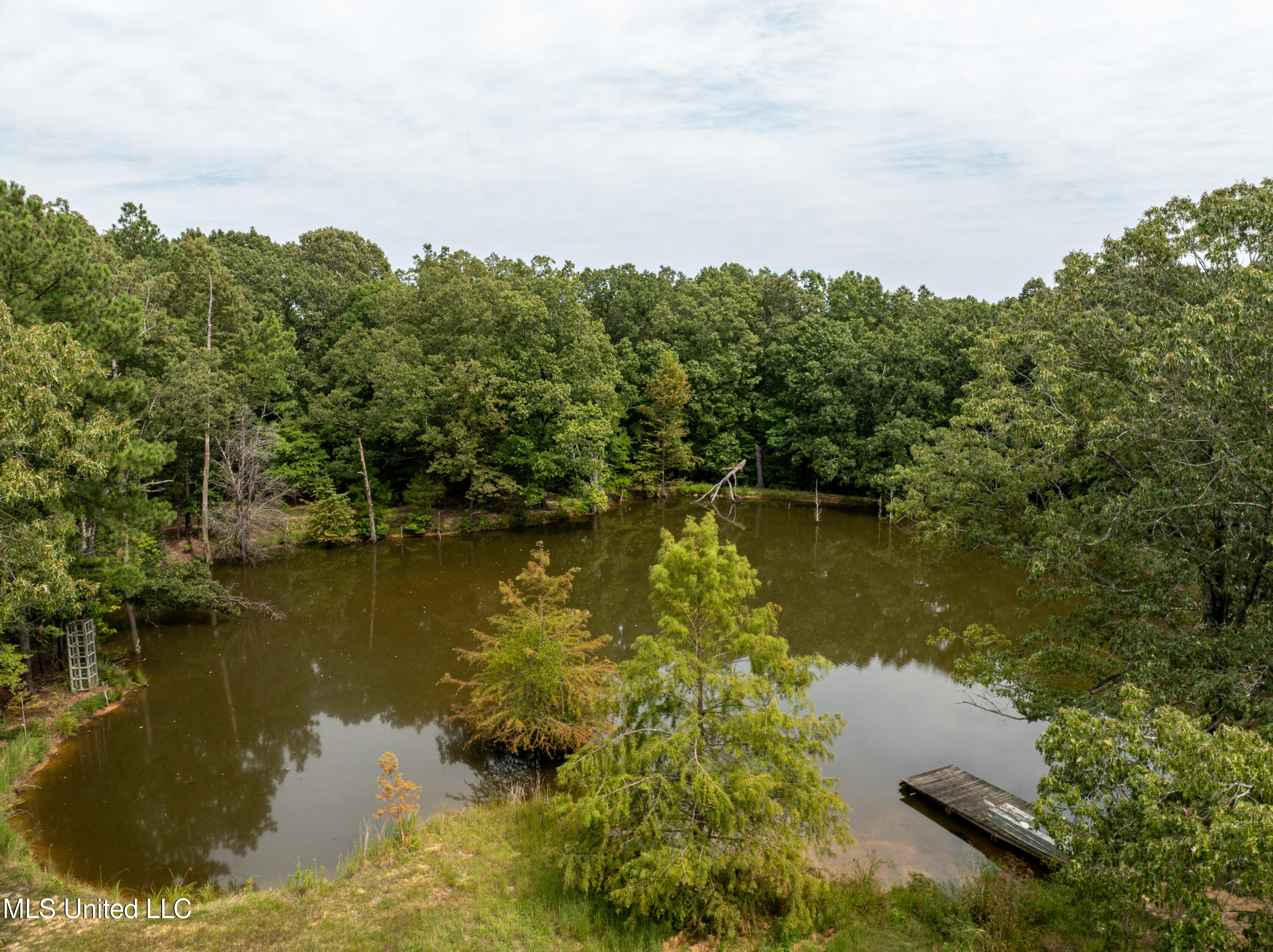 561 Boswell Road Holly Springs, MS 38635 - Photo 8 of 41 boswell-34