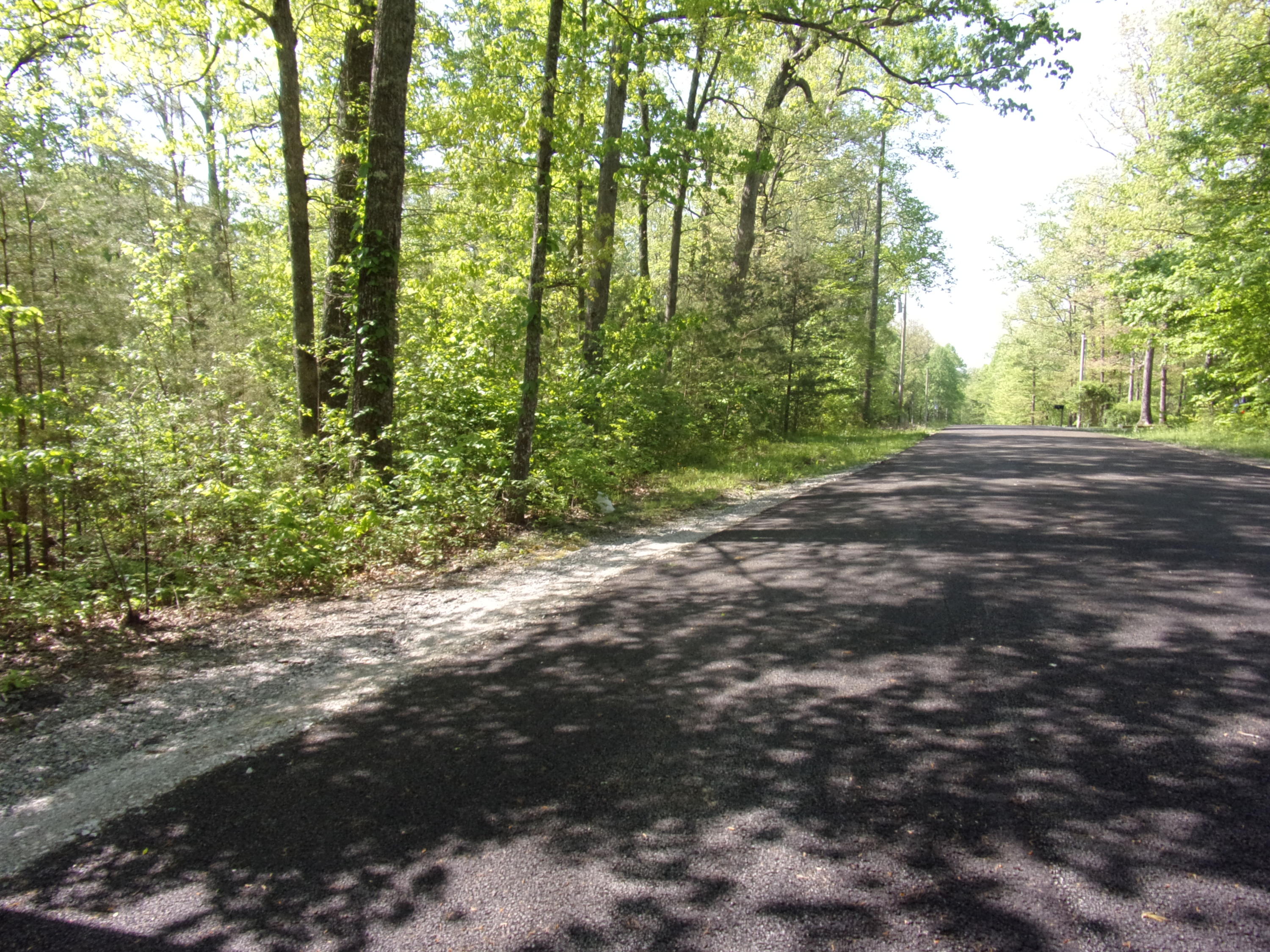 0 Mount Laurel Road Pikeville, TN 37367 - Photo 1 of 21 101_1090