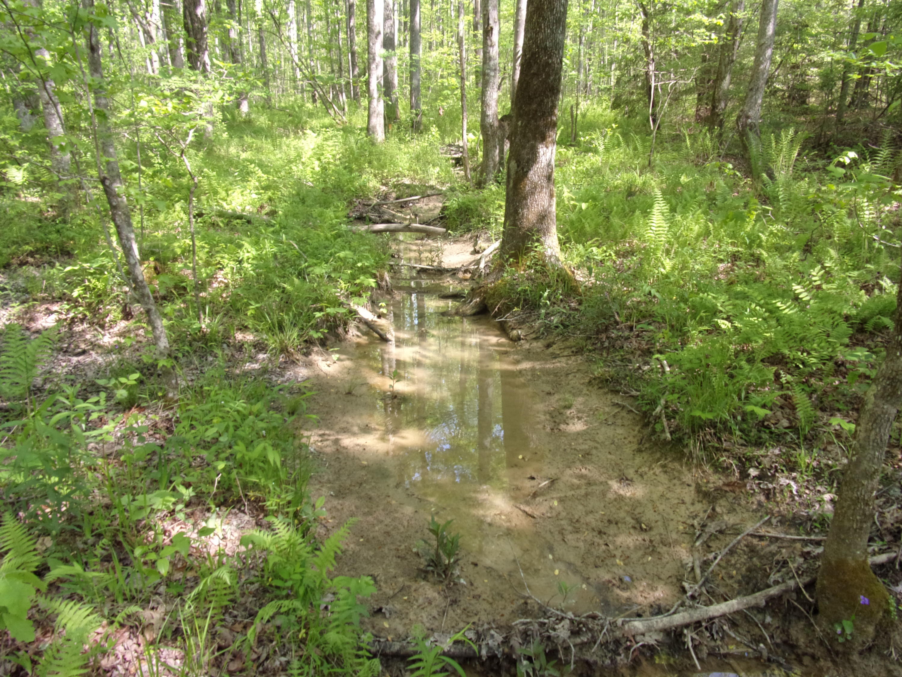 0 Mount Laurel Road Pikeville, TN 37367 - Photo 16 of 21 101_1105
