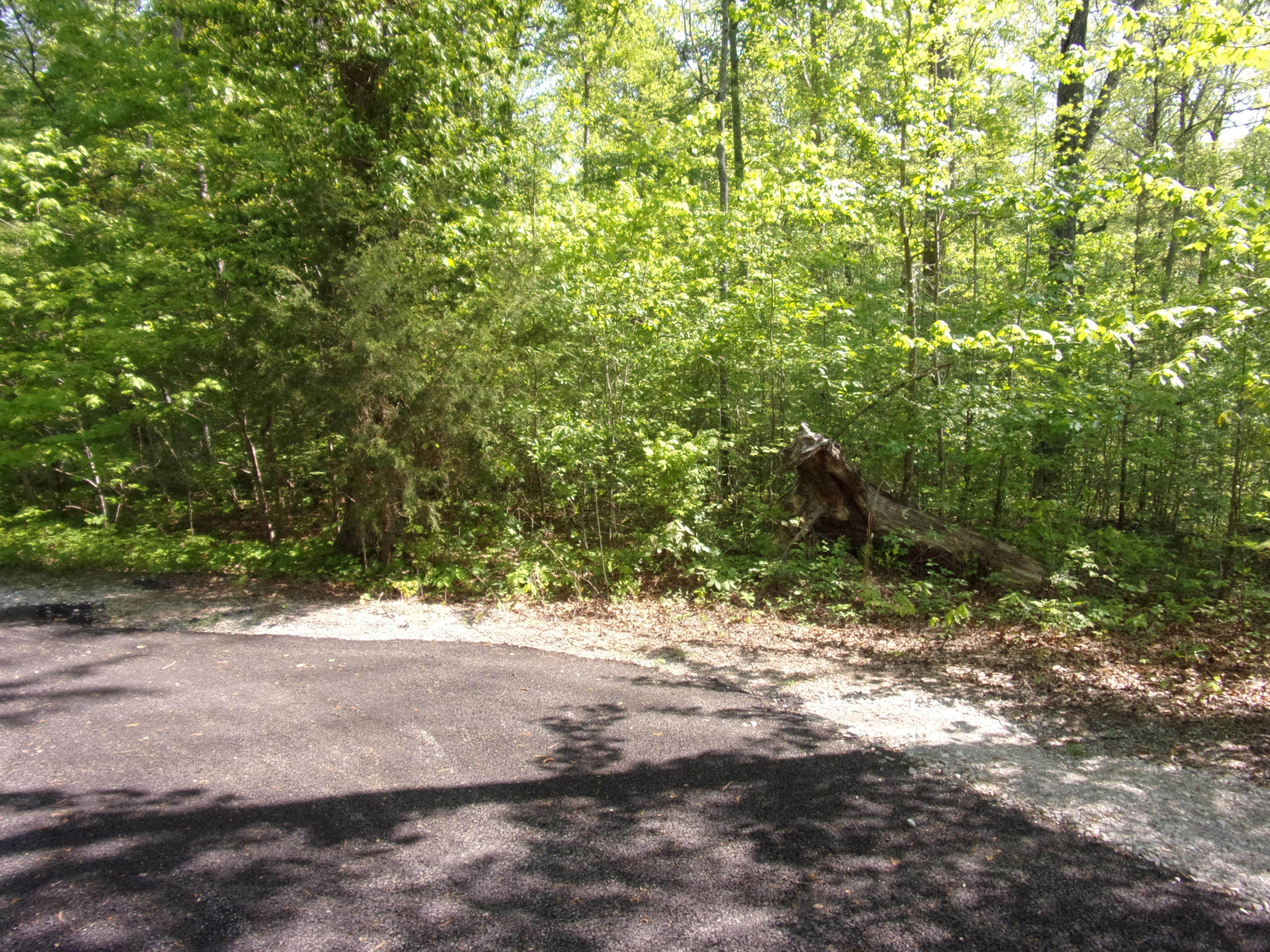 0 Mount Laurel Road Pikeville, TN 37367 - Photo 3 of 21 101_1091