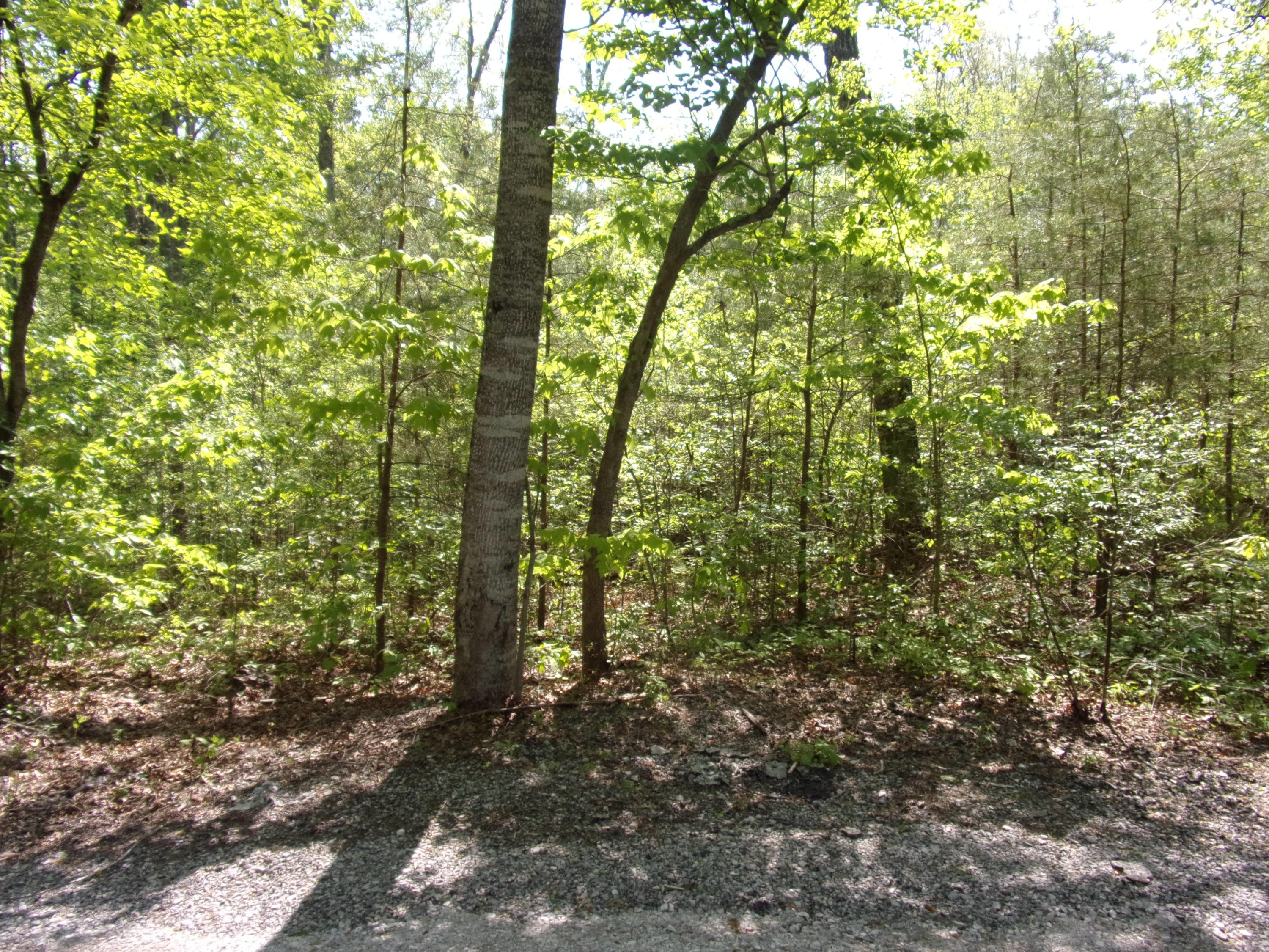 0 Mount Laurel Road Pikeville, TN 37367 - Photo 4 of 21 101_1092