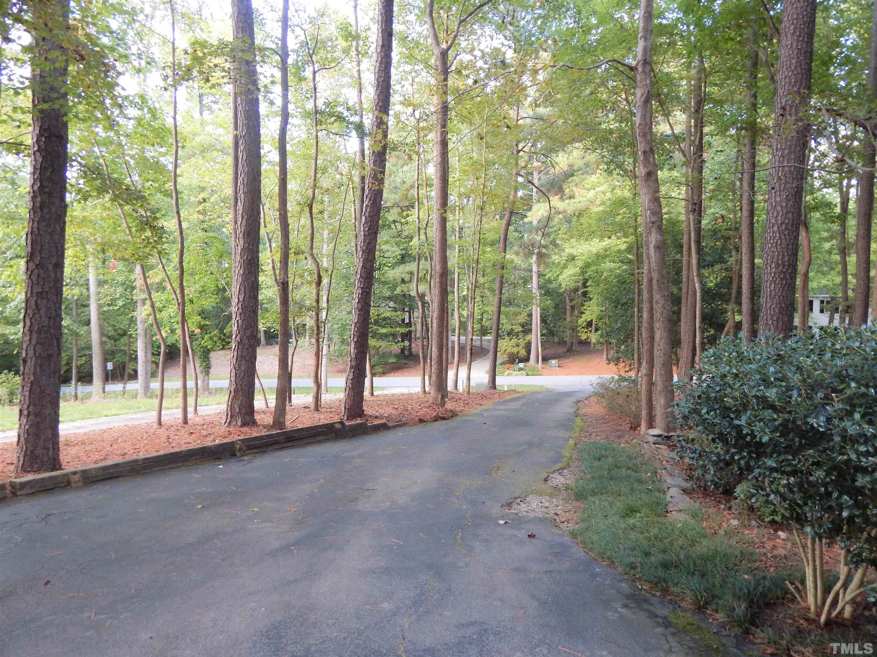 2003 Parliament Place Apex, NC 27502 - Photo 4 of 24 a view of backyard with green space