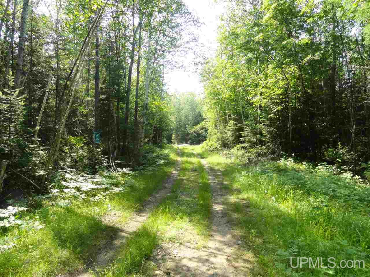 8878 Co Road Republic, MI 49879 - Photo 10 of 34