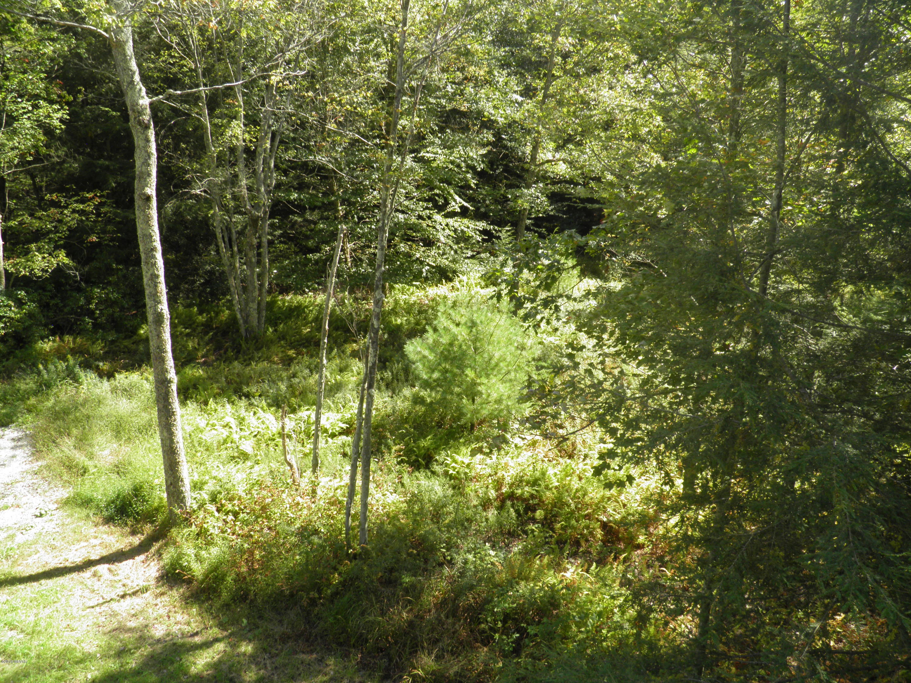 1243 4th Gap Road Loganton, PA 17747 - Photo 66 of 91 P1014613