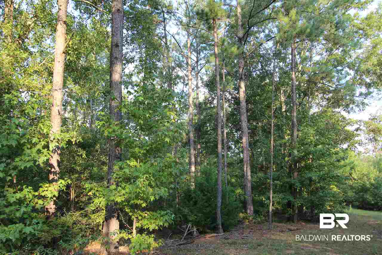 794 Dry Lake Road Luverne, AL 36049 - Photo 40 of 48 Pines