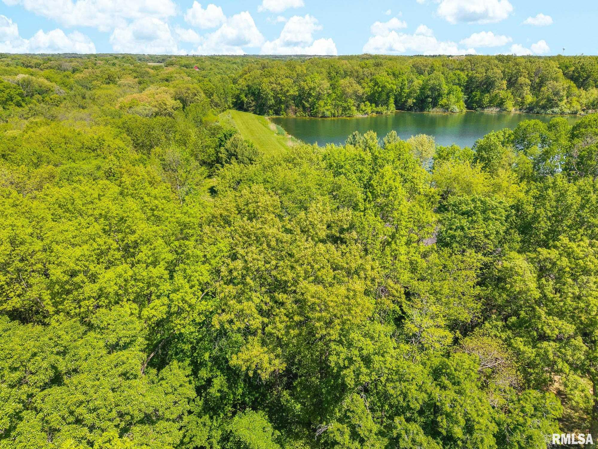 South Walnut Point Drive Mapleton, IL 61547 - Photo 11 of 48