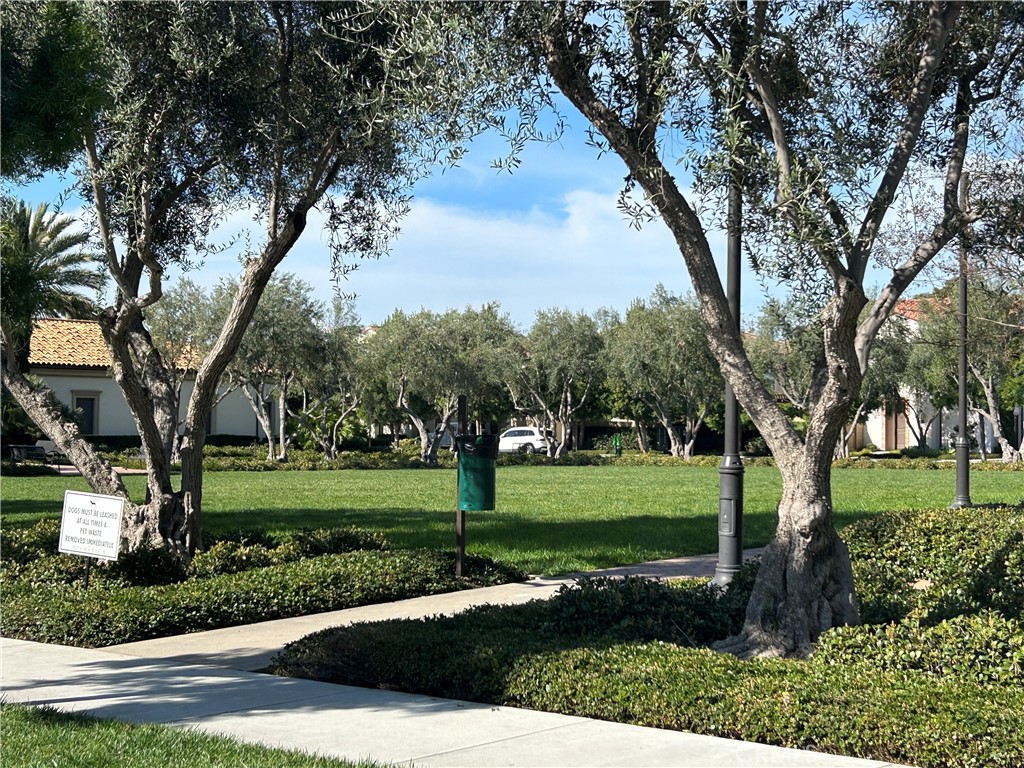 104 Briarberry Irvine, CA 92618 - Photo 24 of 27 a view of a park that has a large tree