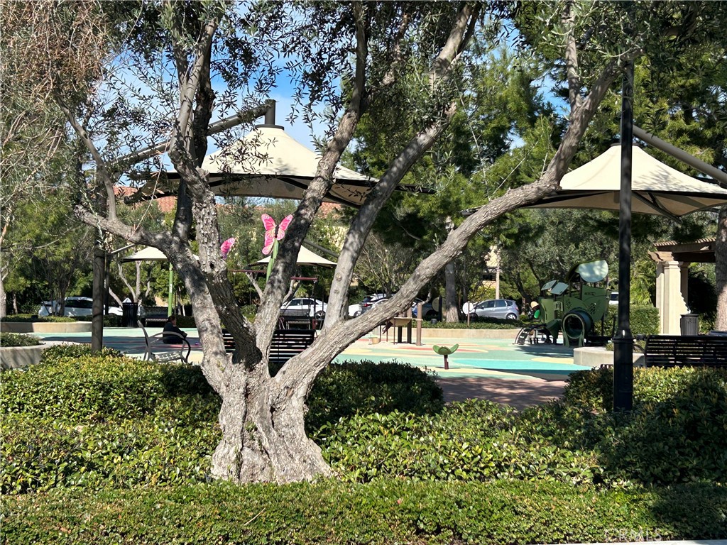 104 Briarberry Irvine, CA 92618 - Photo 25 of 27 a view of a park with large trees