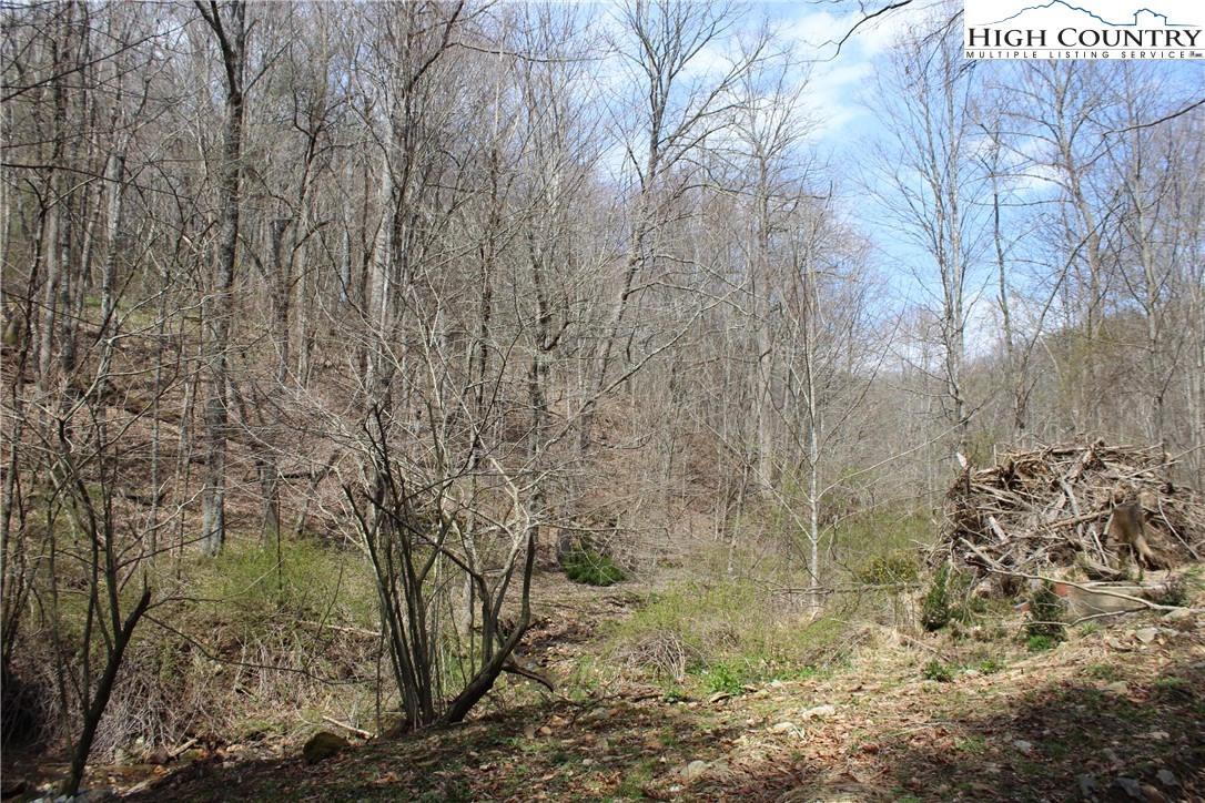 194 Highway Boone Nc 28607 Boone, NC 28607 - Photo 11 of 11 a view of a dry yard