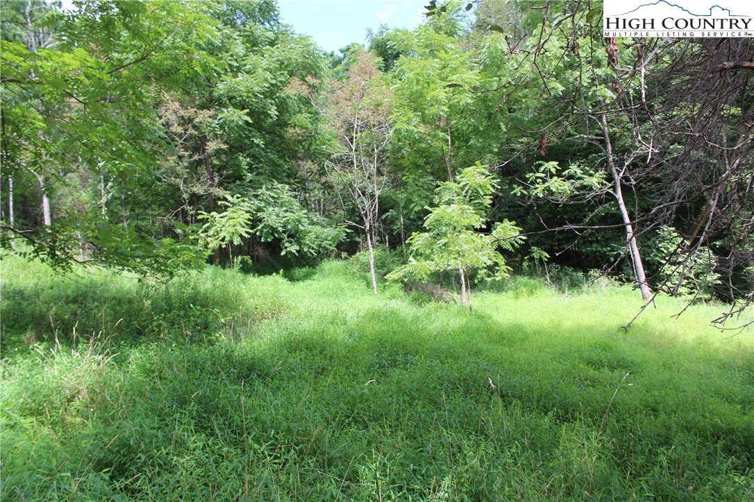 194 Highway Boone Nc 28607 Boone, NC 28607 - Photo 3 of 11 a view of a lush green space