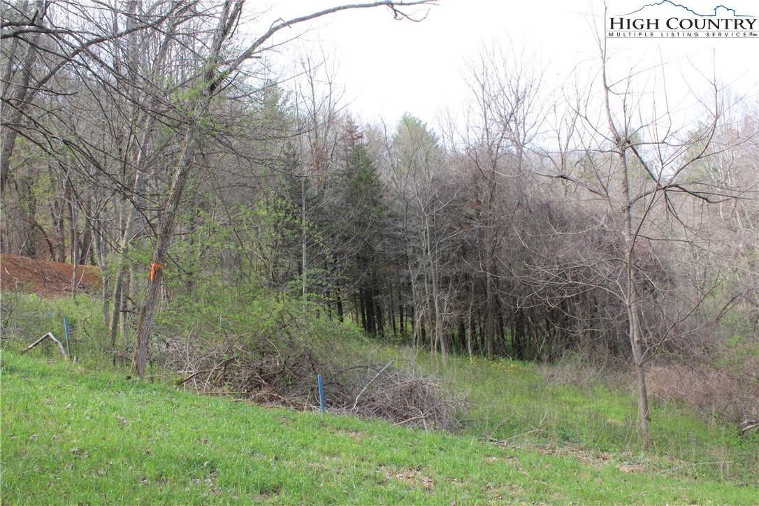 194 Highway Boone Nc 28607 Boone, NC 28607 - Photo 4 of 11 a view of a lush green forest
