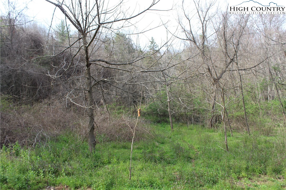 194 Highway Boone Nc 28607 Boone, NC 28607 - Photo 5 of 11 a view of a green field