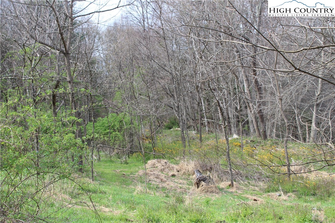 194 Highway Boone Nc 28607 Boone, NC 28607 - Photo 6 of 11 a view of a bird bath