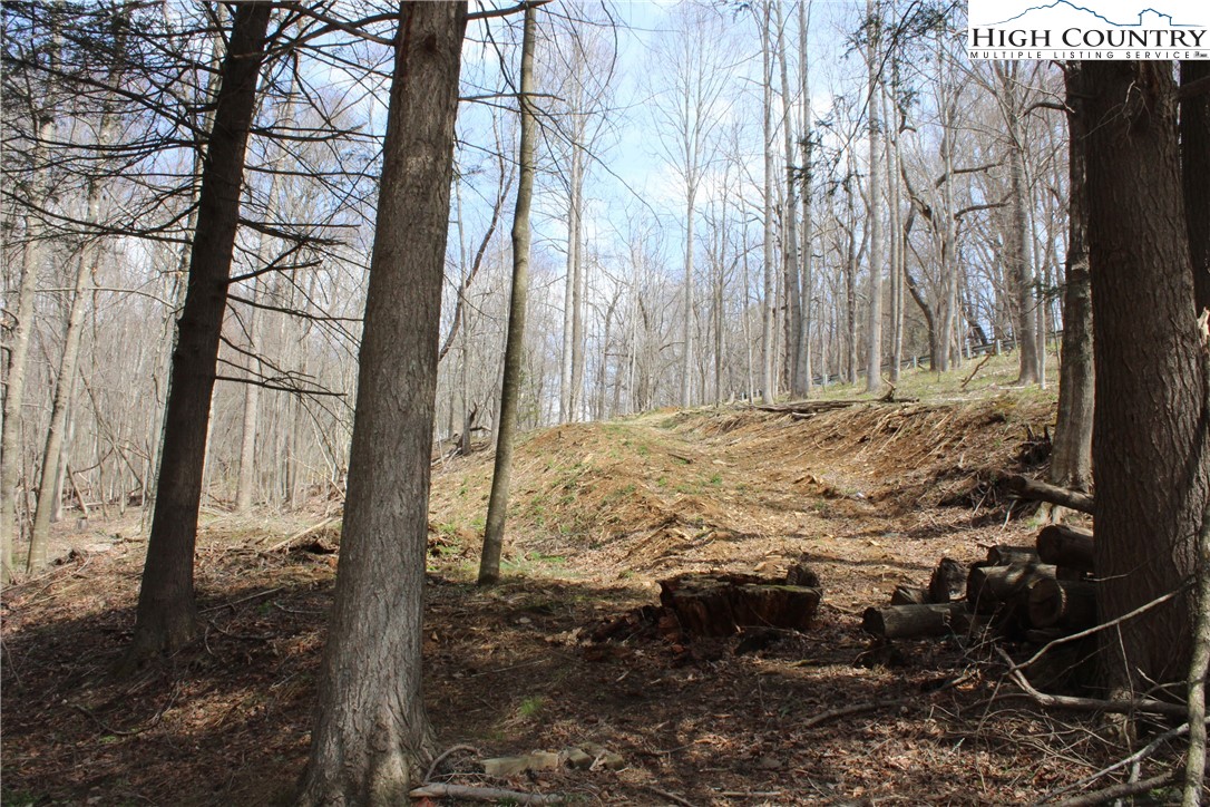 194 Highway Boone Nc 28607 Boone, NC 28607 - Photo 7 of 11 a view of a yard with large trees