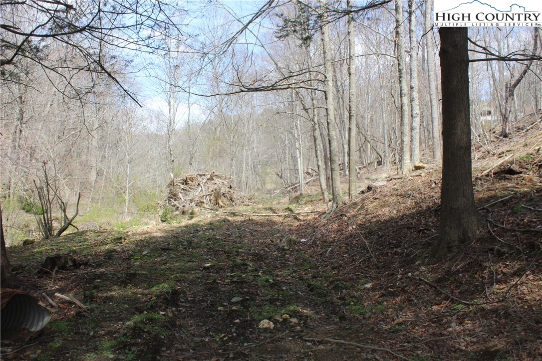 194 Highway Boone Nc 28607 Boone, NC 28607 - Photo 8 of 11 a view of trees and covered with wooden fence