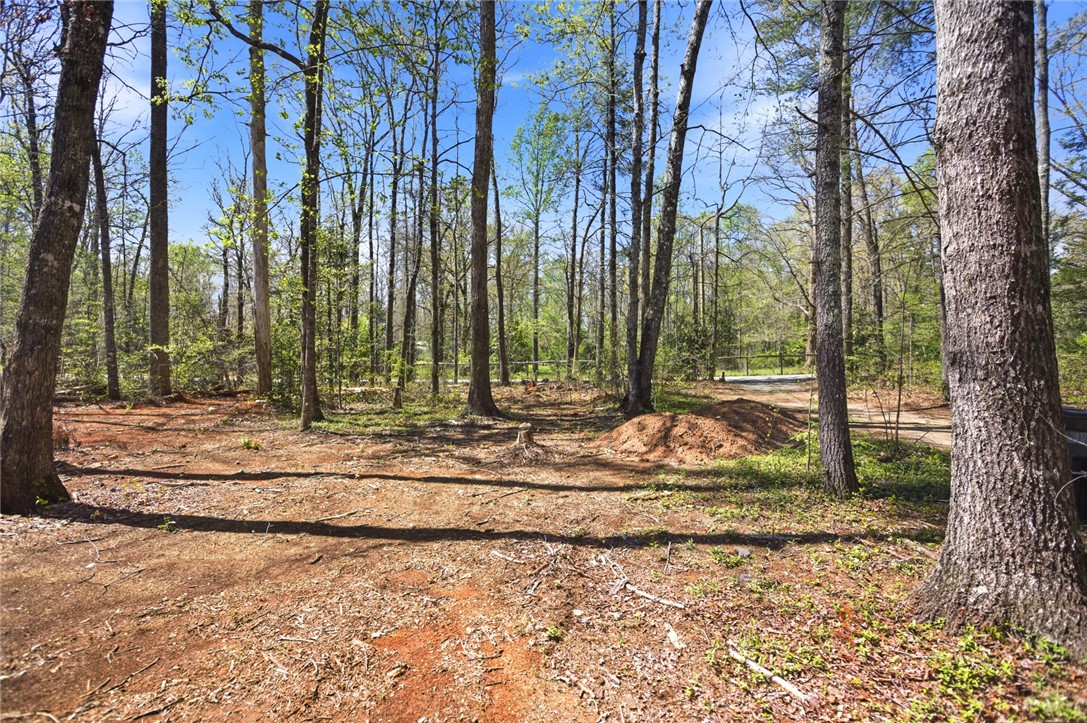 289 Bauknight Road Mountain Rest, SC 29664 - Photo 30 of 36 A tranquil wooded lot offers a peaceful retreat for your future home.