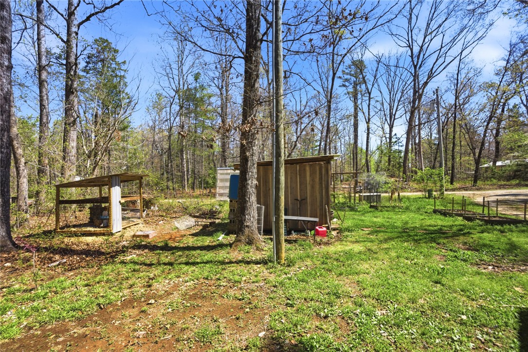 289 Bauknight Road Mountain Rest, SC 29664 - Photo 34 of 36 This expansive wooded property offers a serene natural setting with ample space for outdoor pursuits.