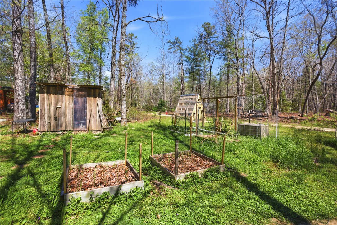 289 Bauknight Road Mountain Rest, SC 29664 - Photo 35 of 36 This verdant yard features garden beds and a shed, perfect for outdoor enthusiasts.