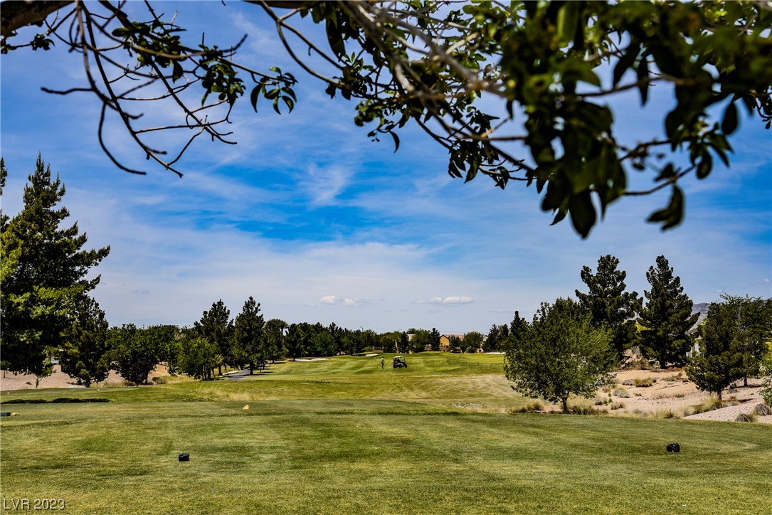 3713 Tiger Ridge Lane North Las Vegas, NV 89084 - Photo 70 of 72