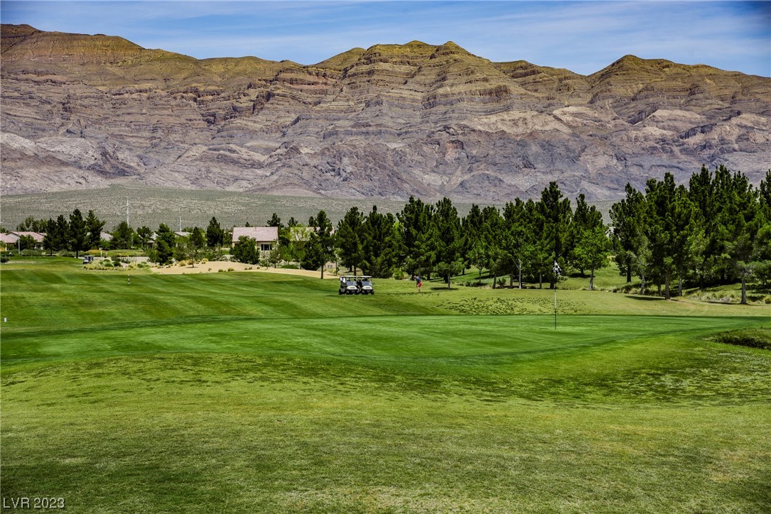 3713 Tiger Ridge Lane North Las Vegas, NV 89084 - Photo 71 of 72