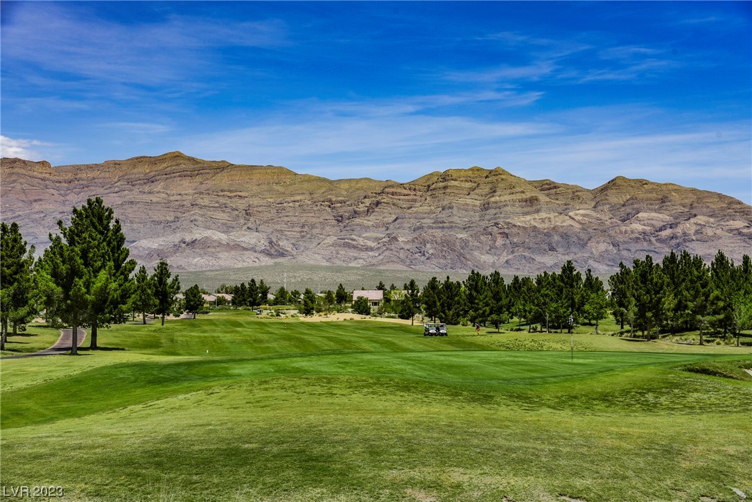 3713 Tiger Ridge Lane North Las Vegas, NV 89084 - Photo 72 of 72