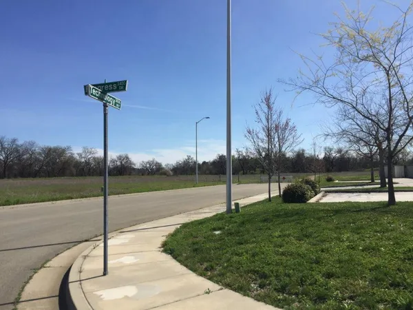 a view of a park with entertaining space