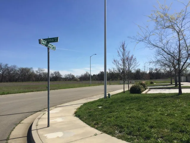 a view of a park with entertaining space