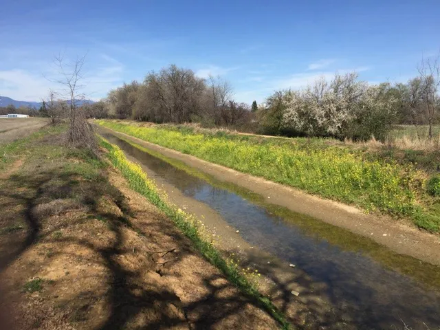 a view of a yard with an outdoor space