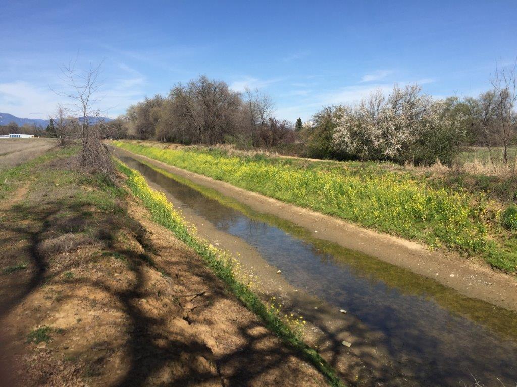 3660-3671 Technology Way Redding, CA 96001 - Photo 6 of 6 a view of a yard with an outdoor space