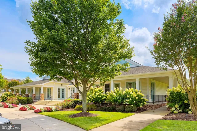 a view of a yard with a large trees