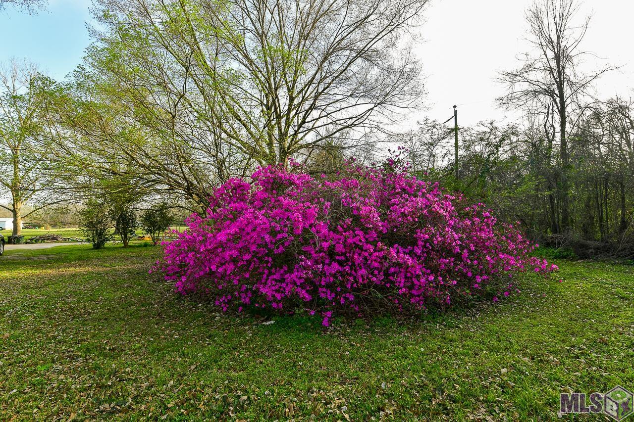 6240-6250 Bayou Paul Road St. Gabriel, LA 70776 - Photo 2 of 29