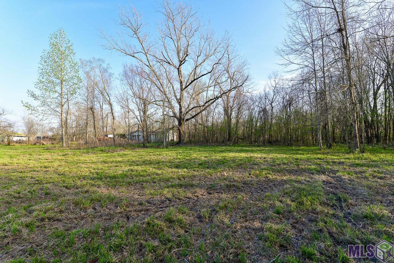 6240-6250 Bayou Paul Road St. Gabriel, LA 70776 - Photo 6 of 29