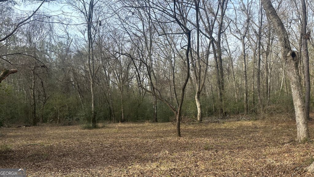 4 Country Club Road, Unit LOT 4 Sylvania, GA 30467 - Photo 13 of 31