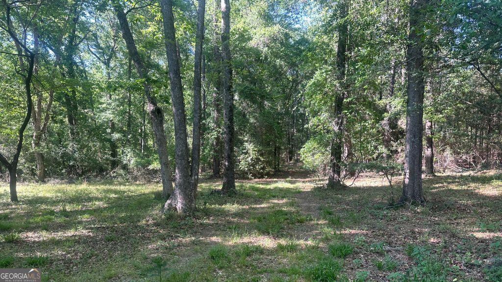 4 Country Club Road, Unit LOT 4 Sylvania, GA 30467 - Photo 27 of 31