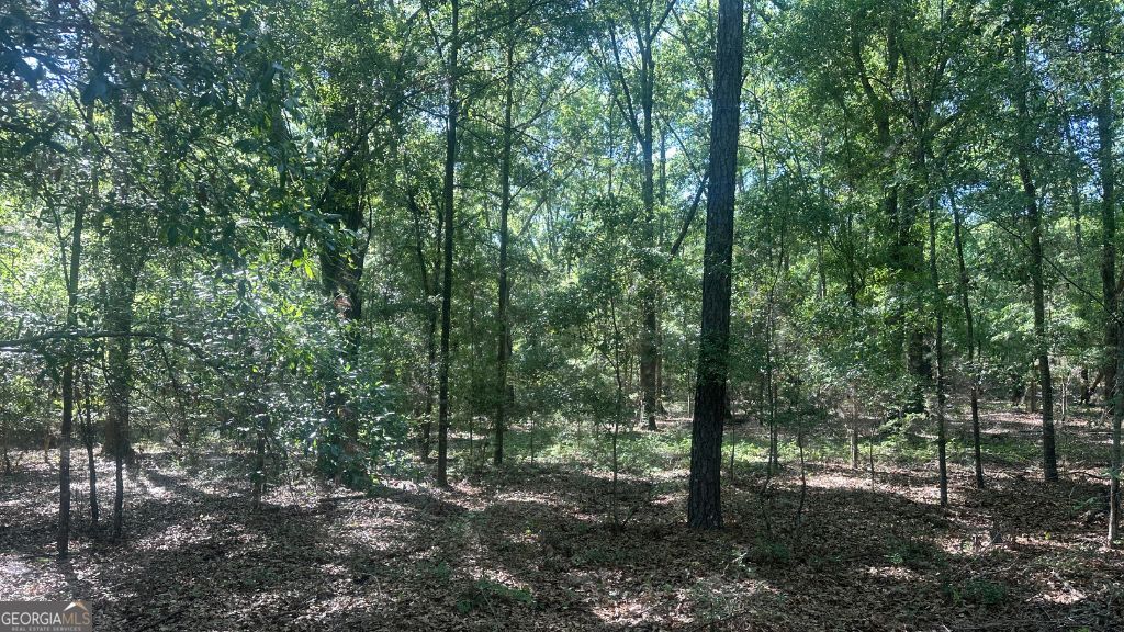 4 Country Club Road, Unit LOT 4 Sylvania, GA 30467 - Photo 30 of 31