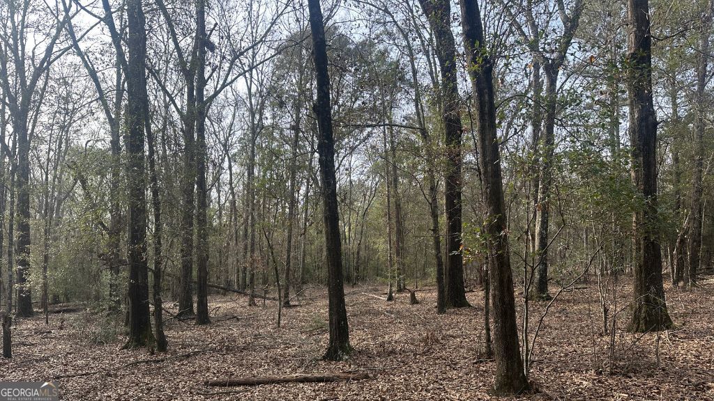 4 Country Club Road, Unit LOT 4 Sylvania, GA 30467 - Photo 8 of 31