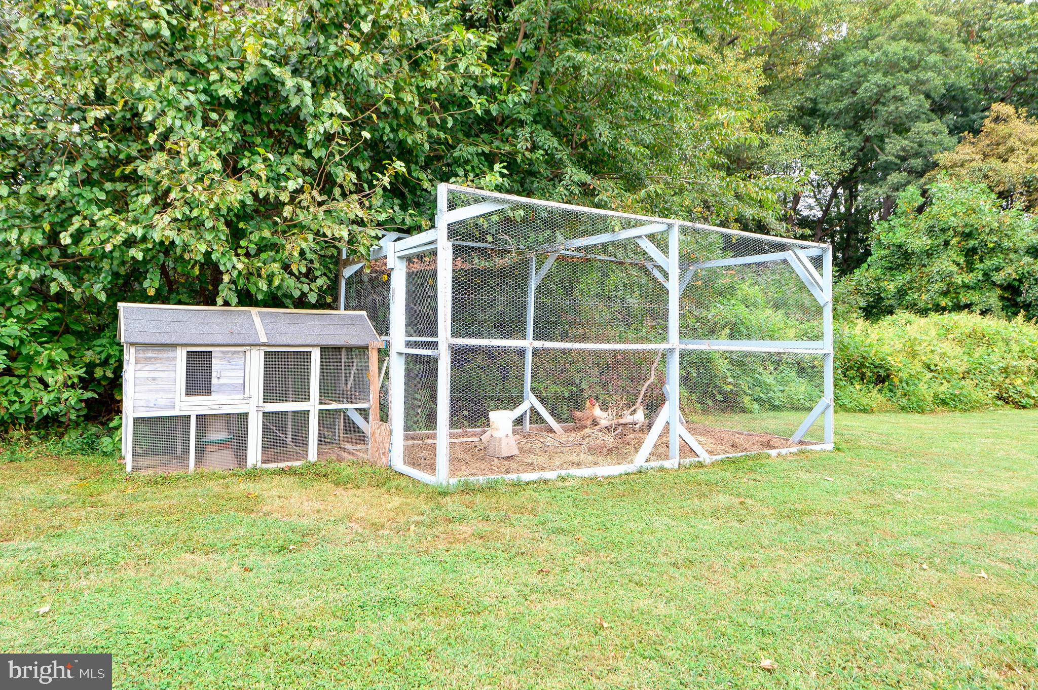 1160 Appleton Road Elkton, MD 21921 - Photo 22 of 23 Spacious back yard for hobbies!