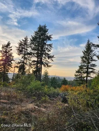 $135,000 | 199 Bremerman Lane, Plummer, ID 83851