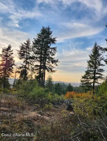 $135,000 | 199 Bremerman Lane, Plummer, ID 83851