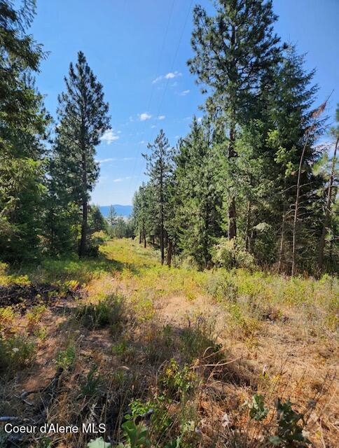 199 Bremerman Lane Plummer, ID 83851 - Photo 3 of 10 Property