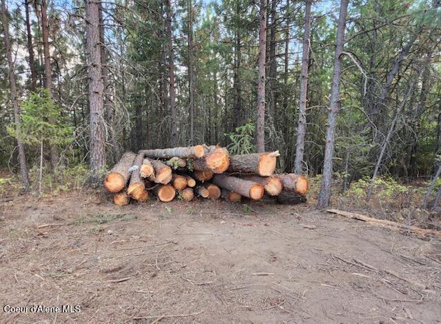 199 Bremerman Lane Plummer, ID 83851 - Photo 5 of 10 Photo