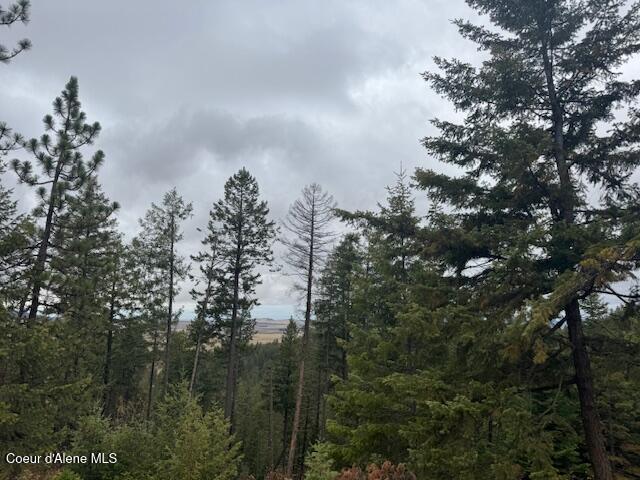 199 Bremerman Lane Plummer, ID 83851 - Photo 6 of 10 IMG_9239