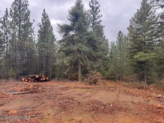 $135,000 | 199 Bremerman Lane, Plummer, ID 83851