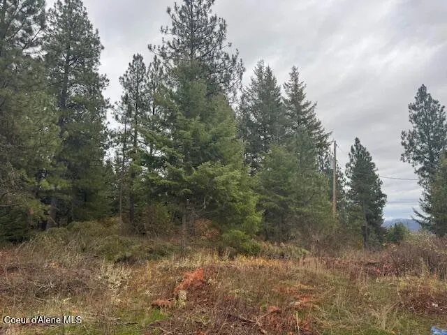 $135,000 | 199 Bremerman Lane, Plummer, ID 83851