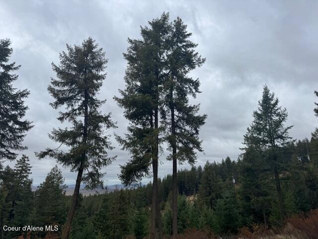 199 Bremerman Lane Plummer, ID 83851 - Photo 9 of 10 IMG_9244