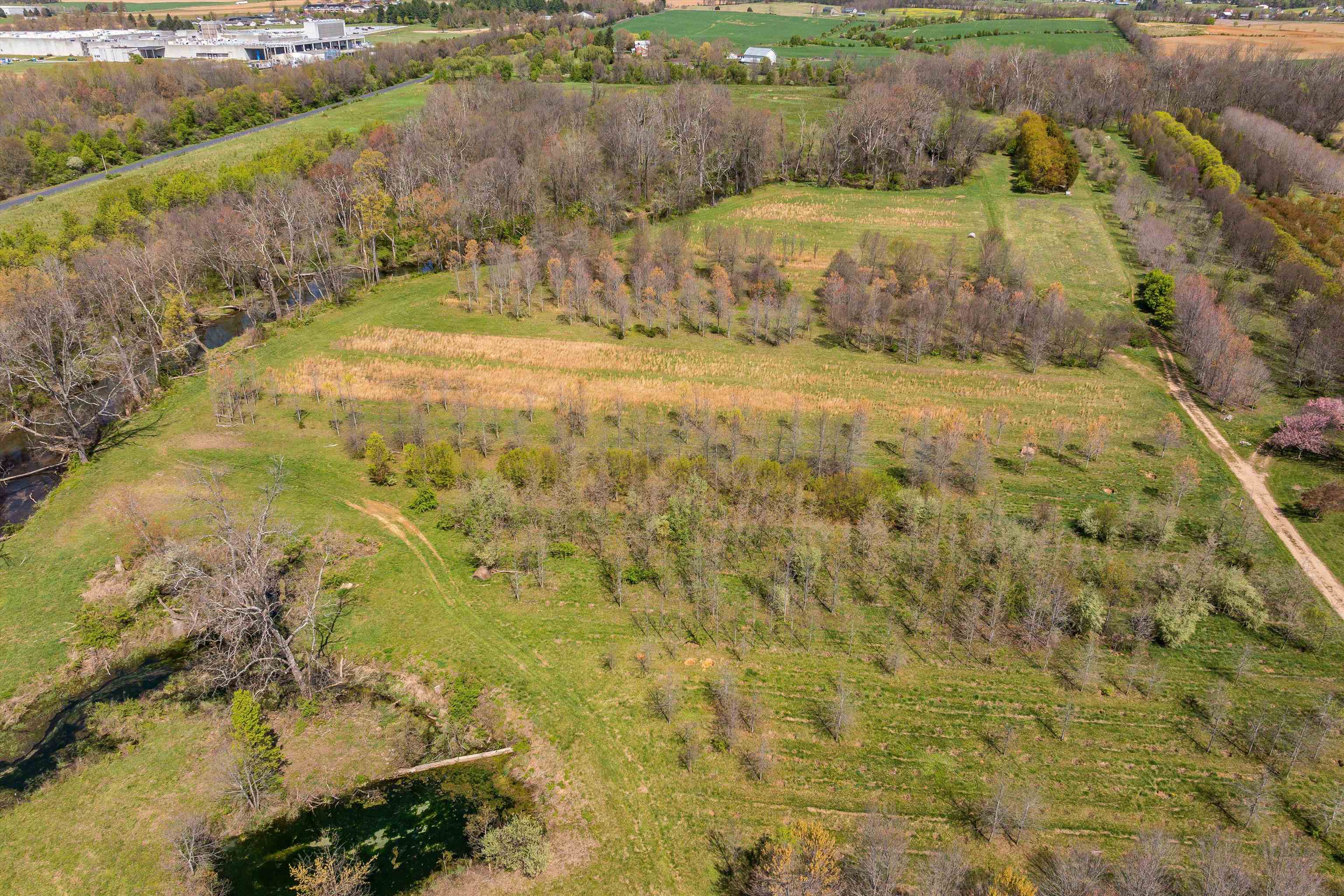 514 Lipscomb Road Stuarts Draft, VA 24477 - Photo 26 of 38 a view of a yard